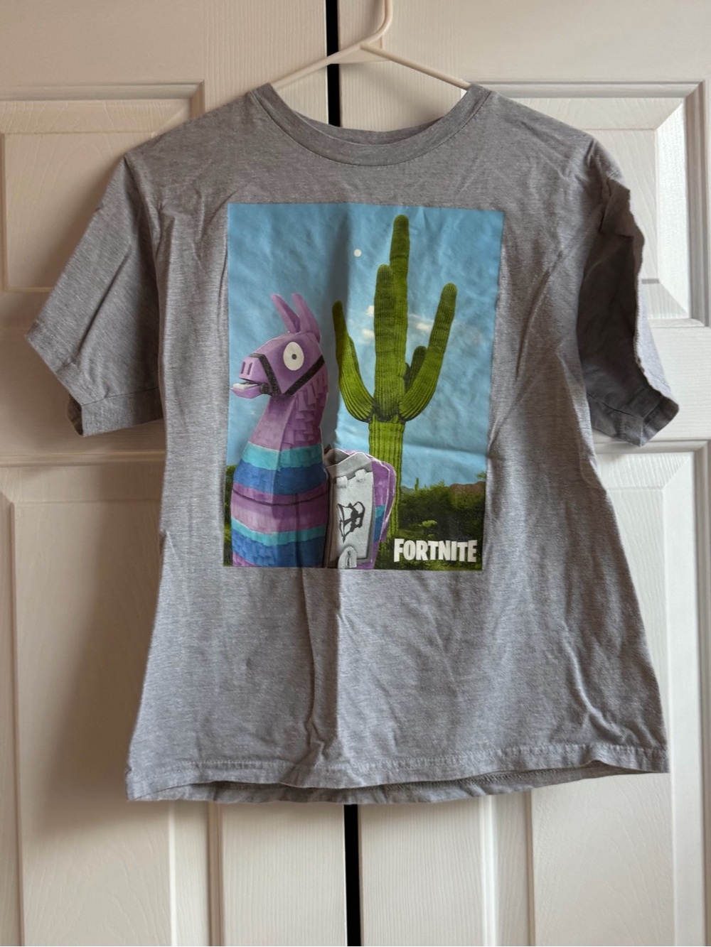 Kids Gray Fortnite Llama Graphic Tee Size L